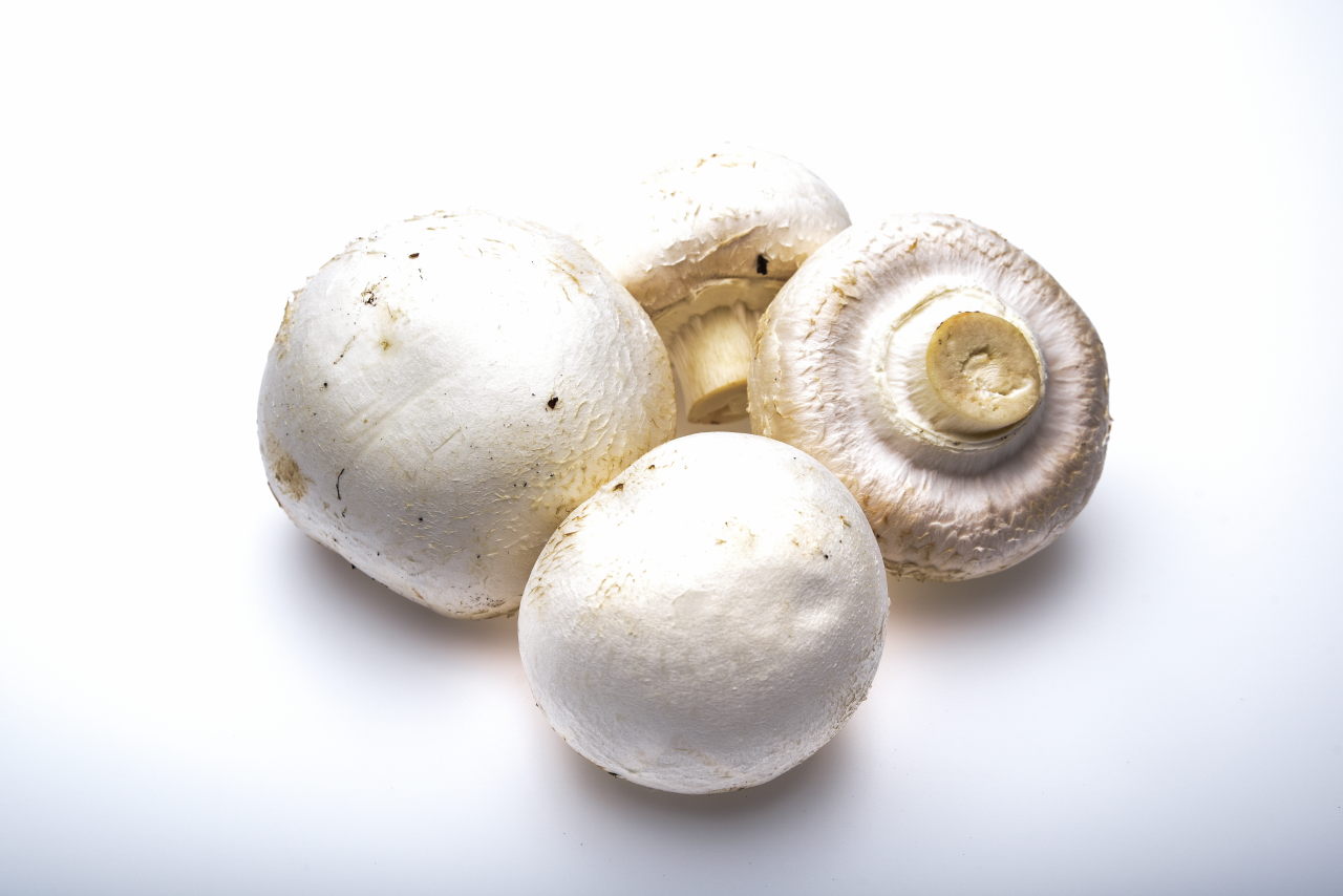 ciuperci-champignon-albe